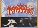 HATEBREED Satisfaction is the Death of Desire RARE 1st 1987 Hardcore Metal LP