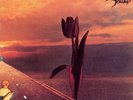 PRETTY THINGS - PARACHUTE - LTD.EDIT. NEW VINYL