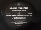 12 Inch vinyl record Rave/Hardcore, One Tribe Featuring Gem, What Have You Done