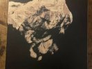 Pixies: Death to the Pixies-Rare 4X 10-inch LP Vinyl Box-4AD-1997