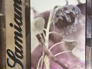 Samiam 'S/T' 1990 Vinyl LP New Red Archives Pop Punk Jawbreaker Hot Water Music