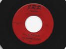 GARAGE ROCKER 45 - SHADOW CASTERS - IT'LL BE TOO LATE -HEAR  1967  ILL. J.R.P.