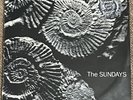 The Sundays – Reading, Writing And Arithmetic - Vinyl LP Picture Disc Album 1990