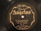 JAZZ PAUL MILLS MERRY MAKERS My Blackbirds Are Bluebirds Now/HARING ANGELUS 3082