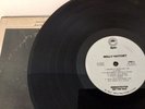 Demo Promo Classic Rock MOLLY HATCHET,  White Label, 1978 w/Orig. Inner Sleeve