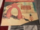 The Flaming Lips - Yoshimi Battles Pink Robots Vinyl LP 2011 Reissue w/PicSleeve