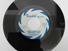 THE PHONETICS - WHAT GOOD AM I (WITHOUT YOU) / JUST A BOY`S DREAM (DEMO) REISSUE