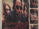 Virgin 7243 8 39169 00 Lenny Kravitz, Are You Gonna Go My Way LP - CLEAR Vinyl