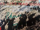 HAND SIGNED Chrissie Hynde 1982 EXCELLENT Pretenders  Back On The Chain Gang  45
