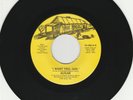 Sugar  - I Want You Girl  / The Most Important Thing  1973 45 RPM Arkansas soul