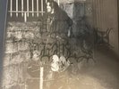 Vlad Tepes A Catharsis for Human Illness Vinyl Box Set Black Metal
