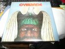 record LP  Cymande Debut LP  Brit Funk Soul on Janus VG++