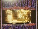 Temple of the Dog Vinyl 2 LP Chris Cornell, Eddie Vedder Includes Hunger Strike