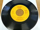 TOM PETTY - Breakdown / The Wild One, Forever 45  1976 Shelter   True 1st Press