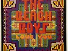 NEAR MINT Vtg 1977 THE BEACH BOYS Album LOVE YOU Record 1ST PRESSING Vinyl Lp OG