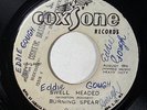 Burning Spear 