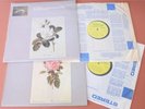 OLS 133/4 Bach Six Suites for Unaccompanied Cello Jean-Max Clément L’Oiseau-Lyre