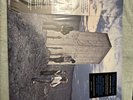 THE WHO WHO'S NEXT [REMASTERED ORIGINAL ALBUM] [HALF-SPEED MASTERED LP]