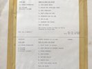 Best Of Tony Joe White - Test Pressing, White Label LP Vinyl With Promo Sheet