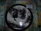 SUPERBE  33T/25CM   PICTURE DISC   TEST PRESSING  BRIGITTE BARDOT