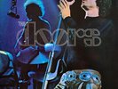 The Doors - Absolutely Live - Import Double Vinyl Album - 1976 - Elektra
