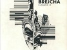BREJCHA, Boris - Classics 1.3 - Vinyl (limited 180 gram silver vinyl 12