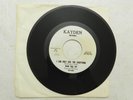 45 RPM, bram rigg set-I Can Only Give You Everything, Kayden 1967 GARAGE ROCK NM