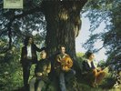 Mother Earth The People Tree (Vinyl) 30th Anniversary  12