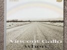 Vincent Gallo 
