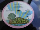 Nick Drake PINK MOON 2013 EU LP Back To Black PLAYS EX+ / EX HEAR