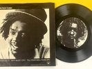 PETER TOSH Legalize It 1976 White Label PROMO 45 MINT   ML 101