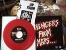 Misfits Teenagers From Mars #02/18 Ltd Edition Red Vinyl 2 Card Insert Lyricsℹ️