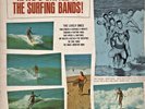 VARIOUS ROCK ARTISTS on LP 