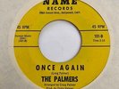 Garage 45 THE PALMERS Once Again/Please Walk Slow Name HEAR Very Obscure  RARE