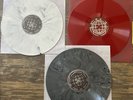 The Big Vs Earth - Concrete Jungle / Vinyl