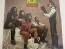 Steel Pulse True Democracy 1982 Vinyl Record LP