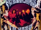 The Fuzztones In Heat NEAR MINT Rebel Rec Vinyl LP