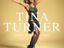 Tina Turner Queen of Rock 'N' Roll (Vinyl) 12