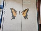 Paramore Brand New Eyes Colored Vinyl Hot Topic Exclusive