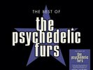 The Psychedelic Furs - Best Of (Vinyl LP) 180 Gram NEW