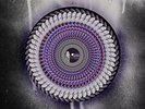 PRESALE Olivia Rodrigo - GUTS (Spilled) Double zoetrope picture disc LP New
