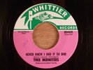 Thee Midniters  Never Knew I Had It So Bad/Everybody Needs Somebody  Garage