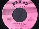 PRETTY BOY: rockin' the mule / switchen' in the kitchen' BIG 7