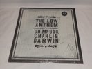 Oh My God, Charlie Darwin [LP] by The Low Anthem (Vinyl, Jun-2009, Nonesuch...