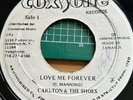 Carlton & The Shoes 