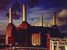 PINK FLOYD **Animals **BRAND NEW RECORD LP VINYL