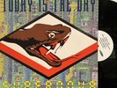 Today Is the Day - Supernova LP 1993 Amphetamine Reptile -  ARR 44/290 EX/NM *EU