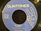 Wild Bunch Inc. Spirit of the sun, Hi spirits 45 RPM record TSP 0014 Reggae