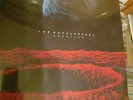 The Daysleepers -  Creation Blue Vinyl Sealed Shoegaze Slowdive