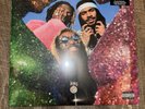 Flatbush Zombies - Vacation in Hell Smoke Colored Vinyl New Sealed Record